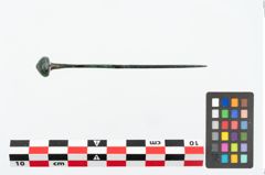 Foto von Kugelkopfnadel (NHMW-PRAE-026210)